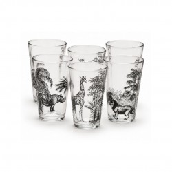 Lot de 6 verres, SAVANA