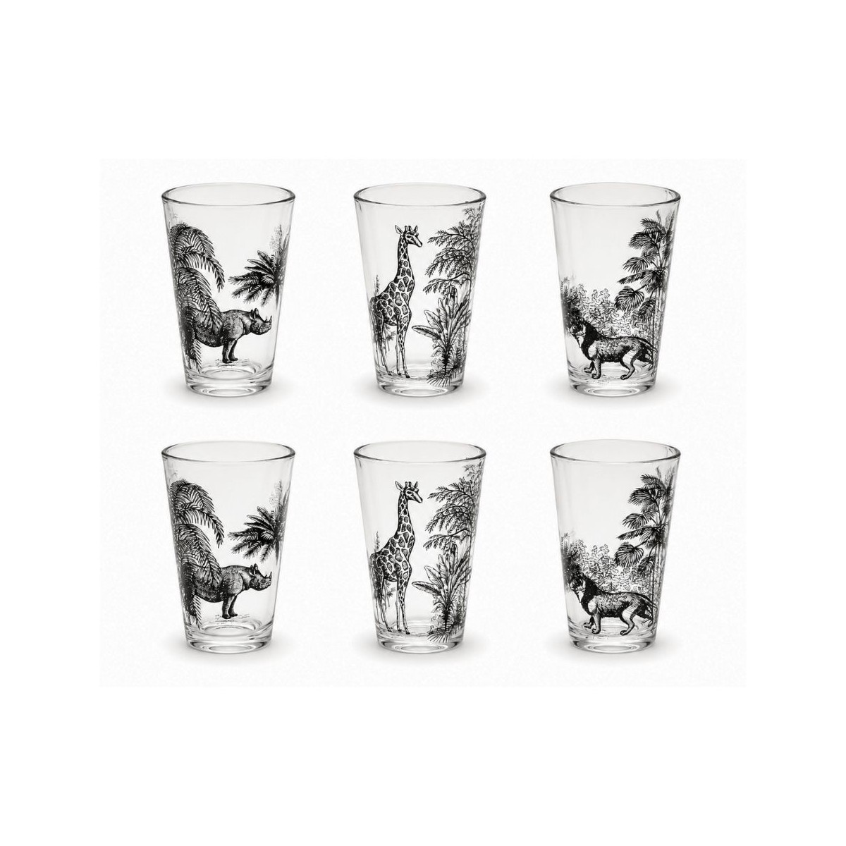 Lot de 6 verres, SAVANA