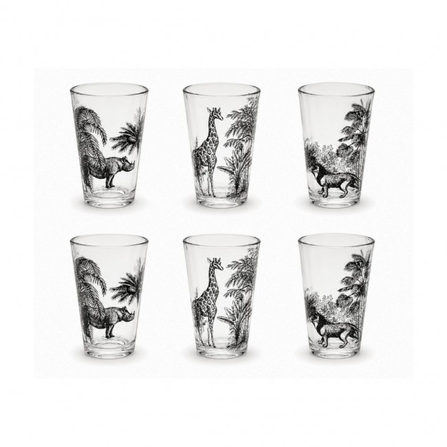Lot de 6 verres, SAVANA
