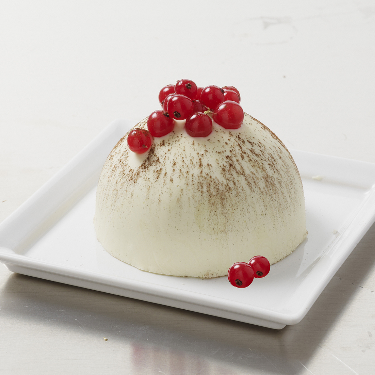 EC-FPDOMEGM Moule pour 6 dômes