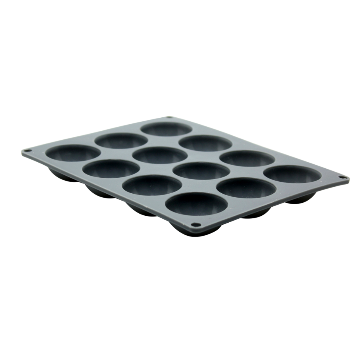 EC-FPDOMEPM Plaque moules pour 12 dômes