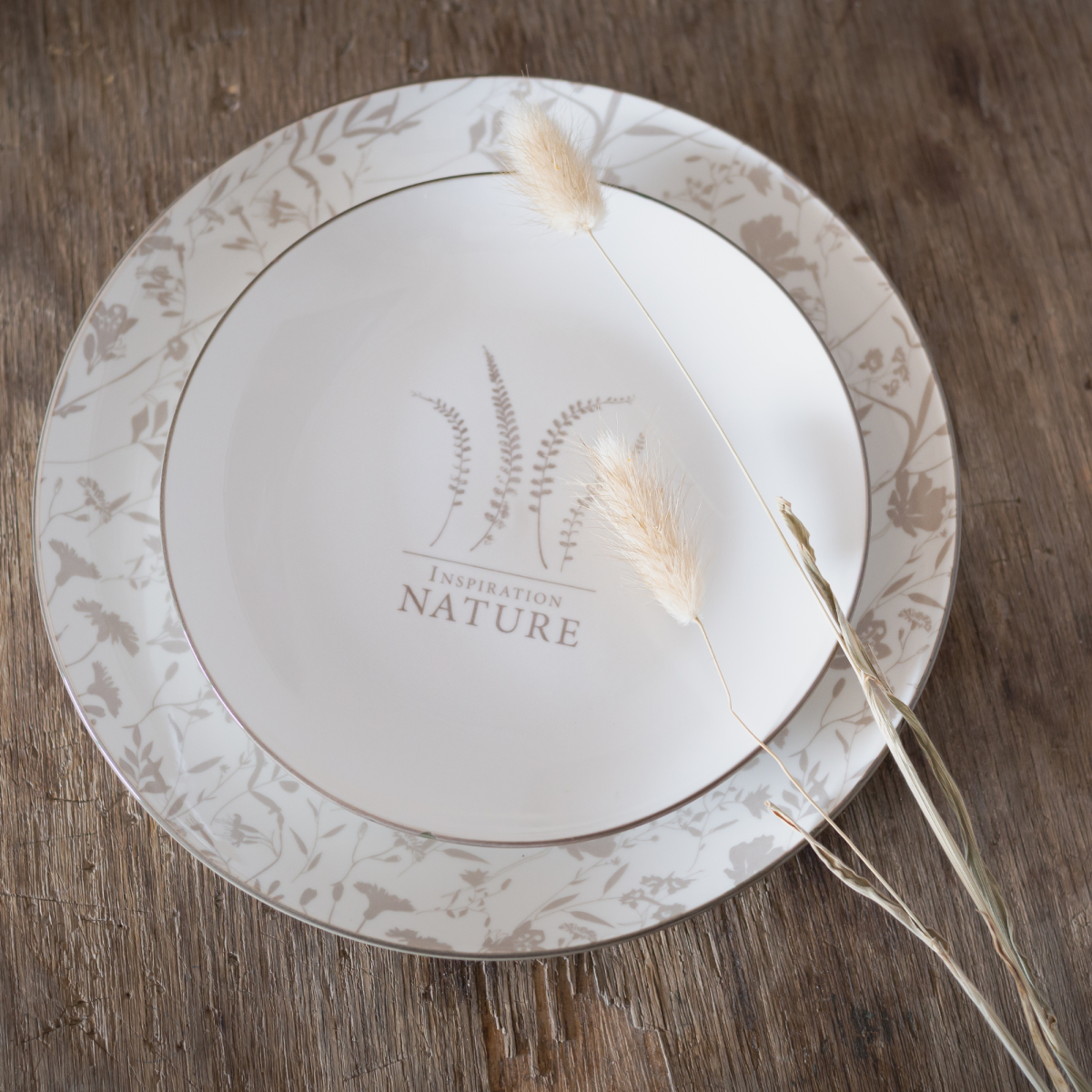 EC-SAS6ASPM Lot de 6 grandes assiettes, Hortus