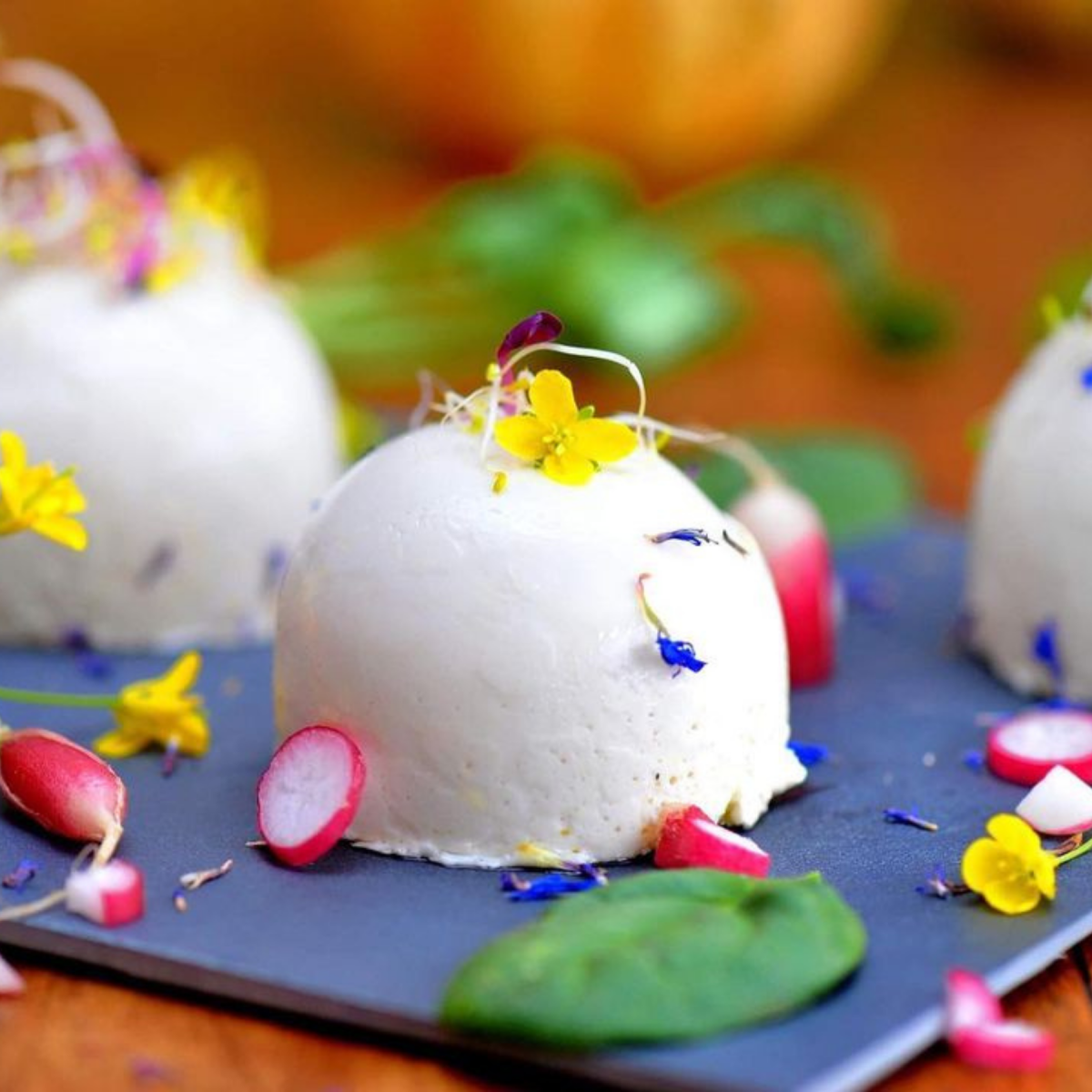 EC-FPDOMEPM Plaque moules pour 12 dômes