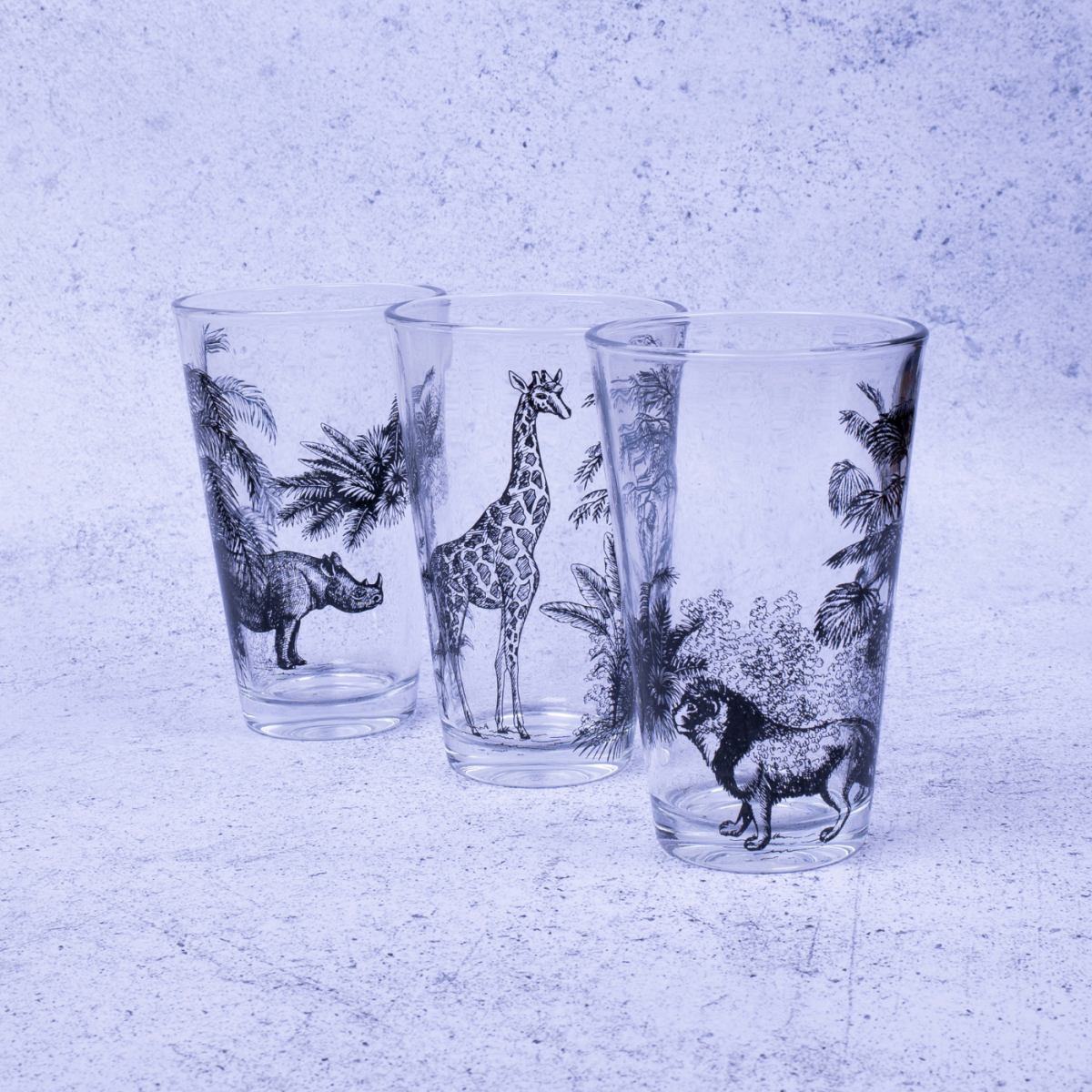 Lot de 6 verres, SAVANA