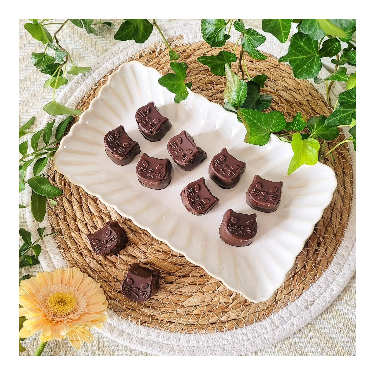 Lot de 6 grandes assiettes COQUILLAGE