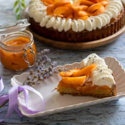 Lot de 6 petites assiettes rectangulaires, COQUILLAGE