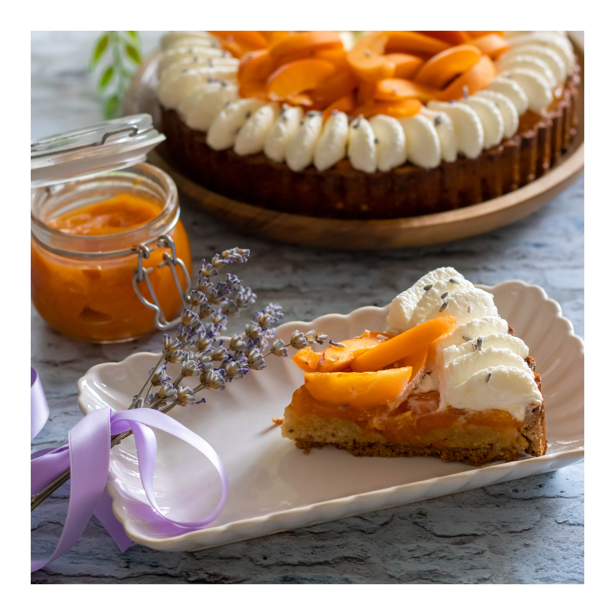 Lot de 6 petites assiettes COQUILAGE