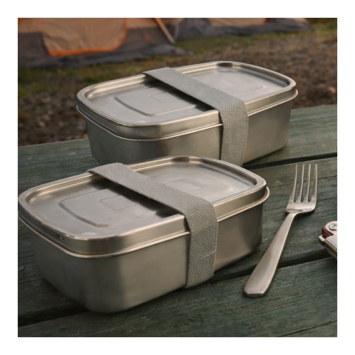 Lot de 2 Lunch box,