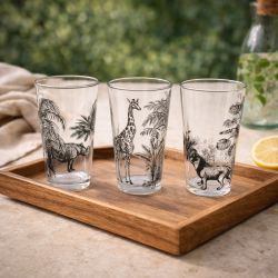 Lot de 6 verres, SAVANA