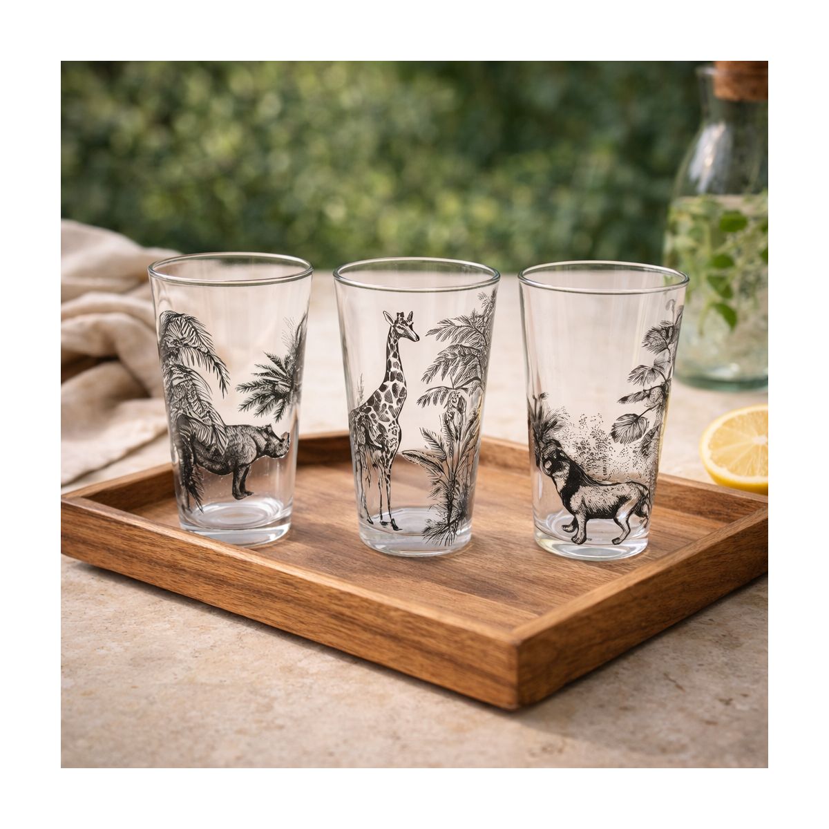 Lot de 6 verres, SAVANA