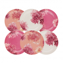 Lot de 6 grandes assiettes, FLORA