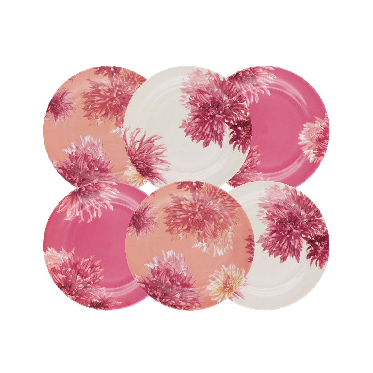Lot de 6 grandes assiettes, FLORA