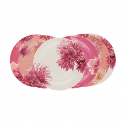 Lot de 6 grandes assiettes, FLORA