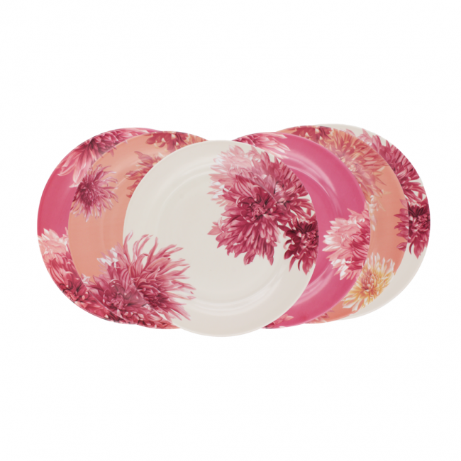 Lot de 6 grandes assiettes, FLORA