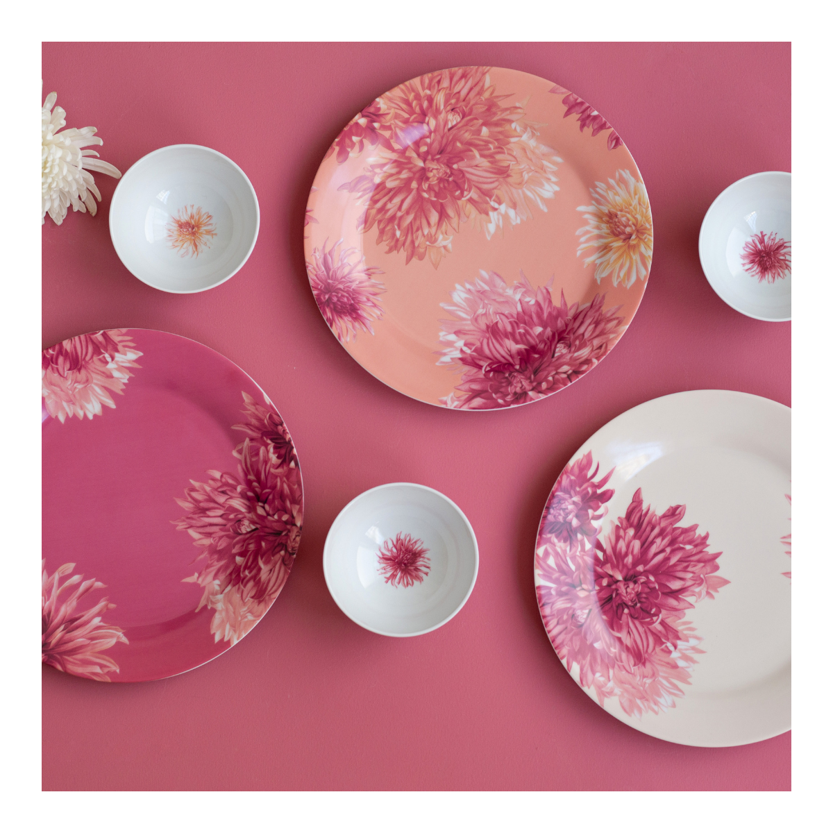 Lot de 6 grandes assiettes, FLORA