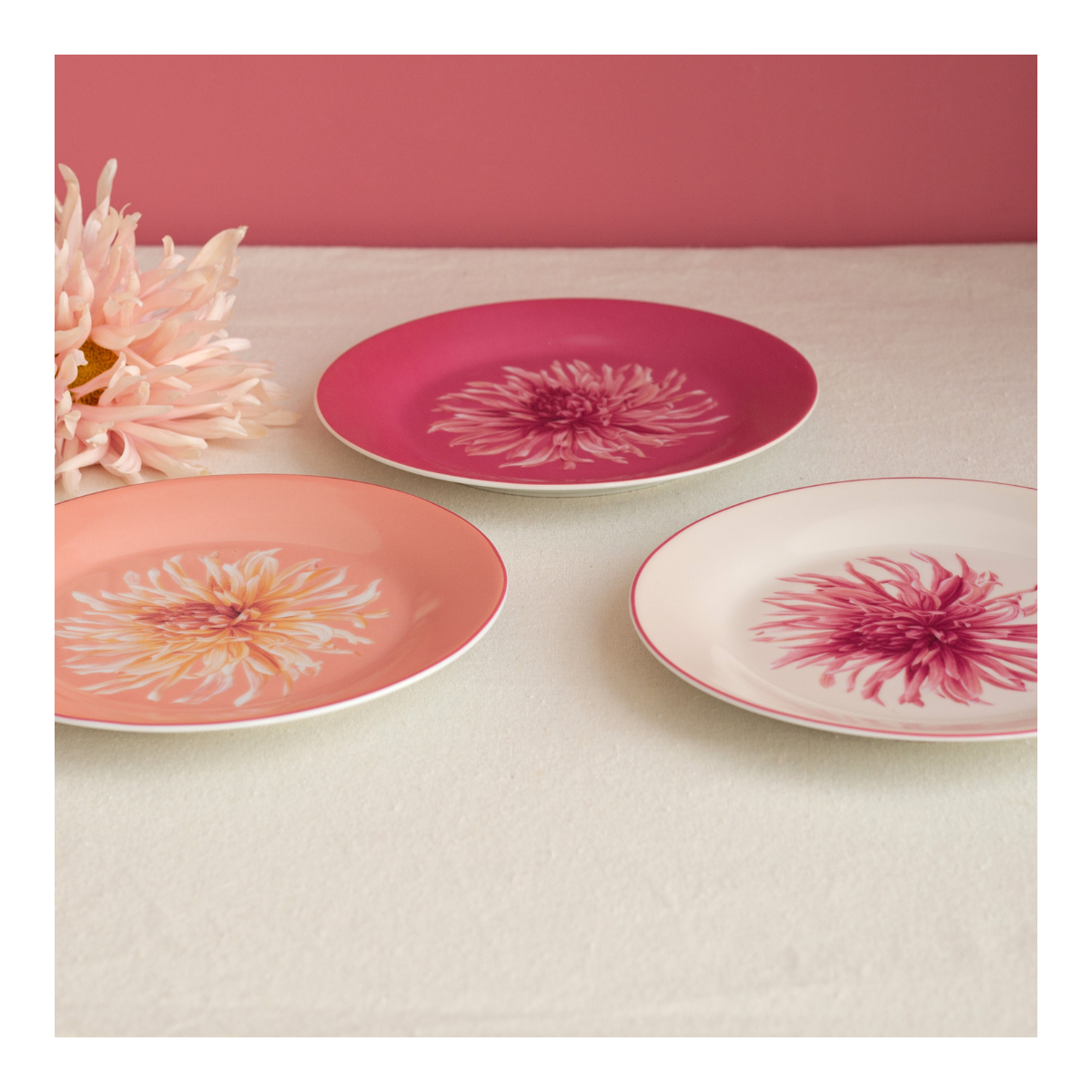 Lot de 6 petites assiettes, FLORA