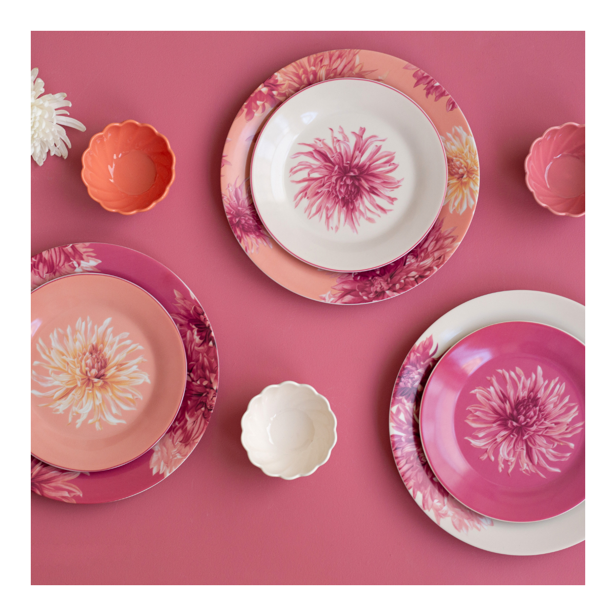 Lot de 6 petites assiettes, FLORA