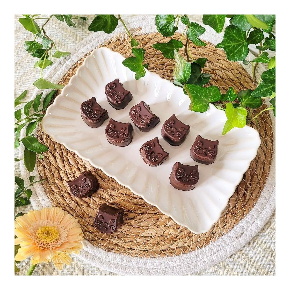 Lot de 6 petites assiettes rectangulaires, COQUILLAGE