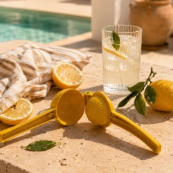 Presse citron en aluminium